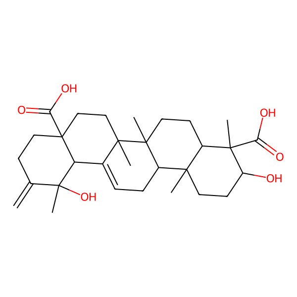 2D Structure of 3,12-dihydroxy-4,6a,6b,12,14b-pentamethyl-11-methylidene-2,3,4a,5,6,7,8,9,10,12a,14,14a-dodecahydro-1H-picene-4,8a-dicarboxylic acid