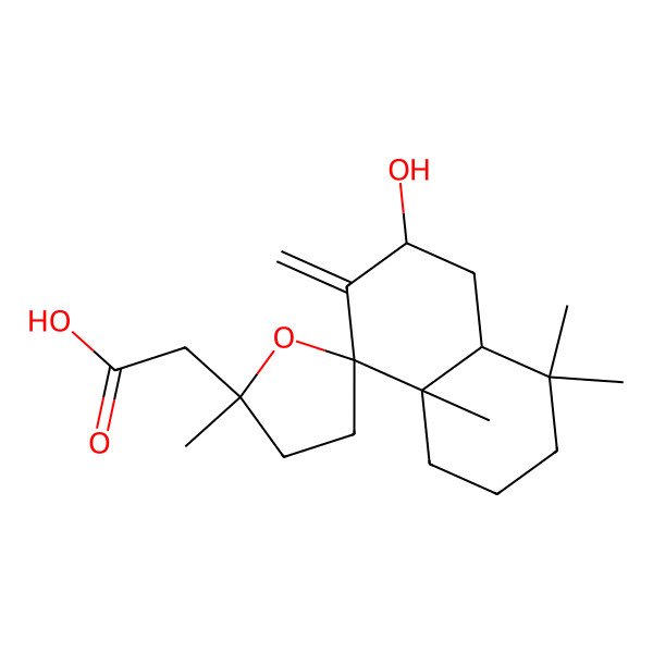 2D Structure of 2-(6-Hydroxy-2',4,4,8a-tetramethyl-7-methylidenespiro[1,2,3,4a,5,6-hexahydronaphthalene-8,5'-oxolane]-2'-yl)acetic acid