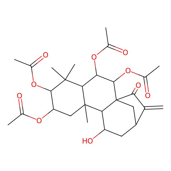 2D Structure of [(1R,2R,3R,4S,6R,7S,9S,10S,11R,13S)-2,3,6-triacetyloxy-11-hydroxy-5,5,9-trimethyl-14-methylidene-15-oxo-7-tetracyclo[11.2.1.01,10.04,9]hexadecanyl] acetate