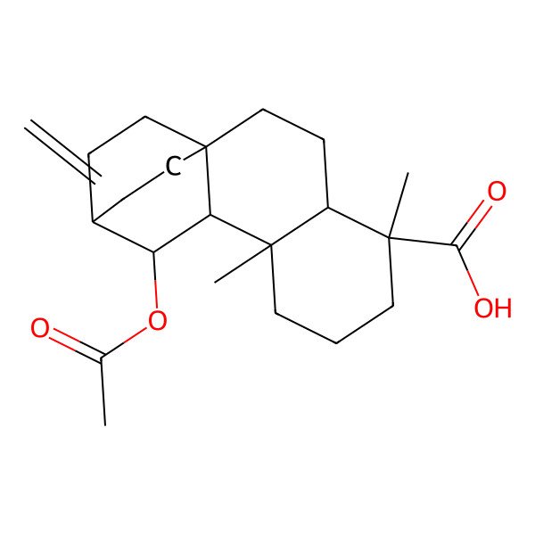 2D Structure of (1S,4S,5R,9R,10R,11R,12R)-11-acetyloxy-5,9-dimethyl-13-methylidenetetracyclo[10.2.2.01,10.04,9]hexadecane-5-carboxylic acid
