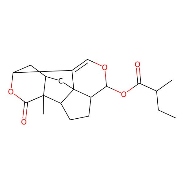 2D Structure of [(1S,5S,6S,9S,10R,13S,15R)-10-methyl-11-oxo-4,12-dioxapentacyclo[7.7.0.01,6.02,13.010,15]hexadec-2-en-5-yl] (2R)-2-methylbutanoate
