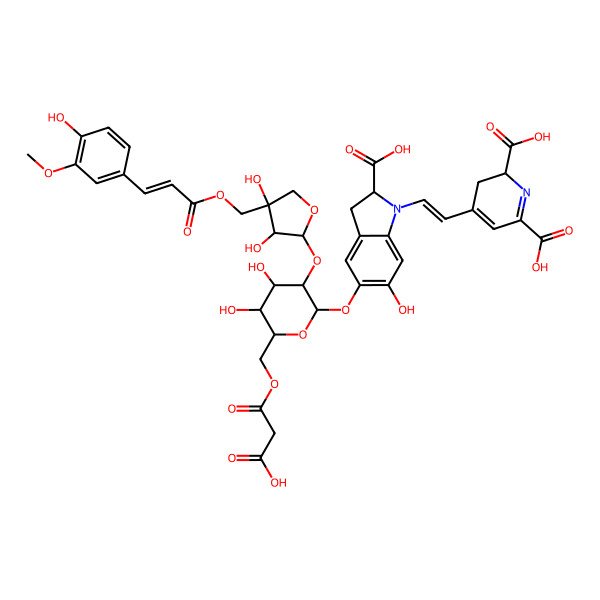 2D Structure of (2S)-4-[(E)-2-[(2S)-2-carboxy-5-[(2S,3R,4S,5S,6R)-6-[(2-carboxyacetyl)oxymethyl]-3-[(2S,3R,4S)-3,4-dihydroxy-4-[[(E)-3-(4-hydroxy-3-methoxyphenyl)prop-2-enoyl]oxymethyl]oxolan-2-yl]oxy-4,5-dihydroxyoxan-2-yl]oxy-6-hydroxy-2,3-dihydroindol-1-yl]ethenyl]-2,3-dihydropyridine-2,6-dicarboxylic acid