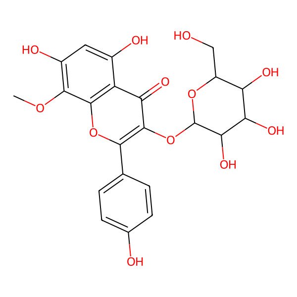 2D Structure of 5,7-dihydroxy-2-(4-hydroxyphenyl)-8-methoxy-3-[(2S,3R,4S,5R,6R)-3,4,5-trihydroxy-6-(hydroxymethyl)oxan-2-yl]oxychromen-4-one