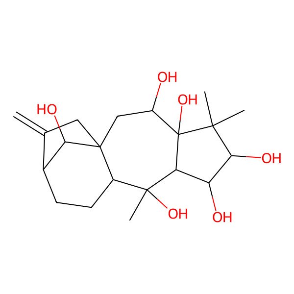 2D Structure of 5,5,9-Trimethyl-14-methylidenetetracyclo[11.2.1.01,10.04,8]hexadecane-3,4,6,7,9,16-hexol