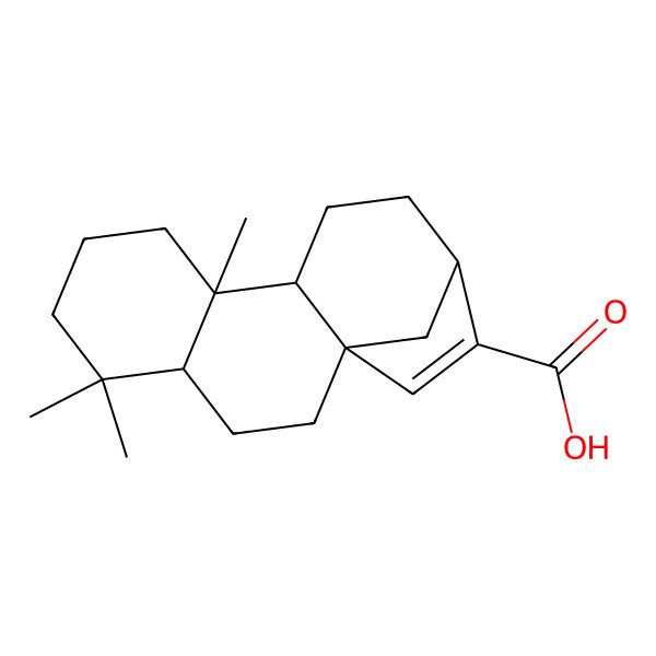 2D Structure of 5,5,9-Trimethyltetracyclo[11.2.1.01,10.04,9]hexadec-14-ene-14-carboxylic acid