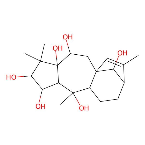 2D Structure of 5,5,9,14-Tetramethyltetracyclo[11.2.1.01,10.04,8]hexadec-14-ene-3,4,6,7,9,16-hexol