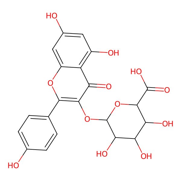2D Structure of (2S,3S,4R,5S,6S)-6-[5,7-dihydroxy-2-(4-hydroxyphenyl)-4-oxochromen-3-yl]oxy-3,4,5-trihydroxyoxane-2-carboxylic acid