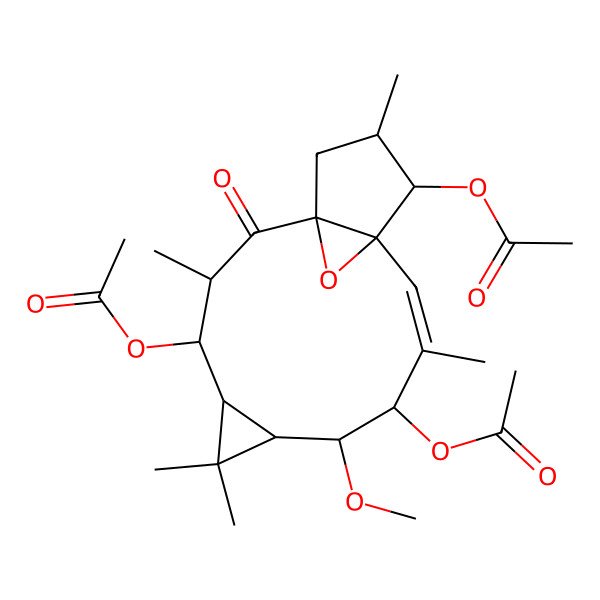 2D Structure of [(1R,3S,4R,5R,7S,8R,9R,10E,12S,13S,14S)-9,13-diacetyloxy-8-methoxy-3,6,6,10,14-pentamethyl-2-oxo-16-oxatetracyclo[10.3.1.01,12.05,7]hexadec-10-en-4-yl] acetate