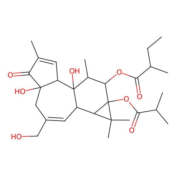 2D Structure of [(1S,2S,6R,10S,11R,13S,14R,15R)-1,6-dihydroxy-8-(hydroxymethyl)-4,12,12,15-tetramethyl-13-(2-methylpropanoyloxy)-5-oxo-14-tetracyclo[8.5.0.02,6.011,13]pentadeca-3,8-dienyl] 2-methylbutanoate