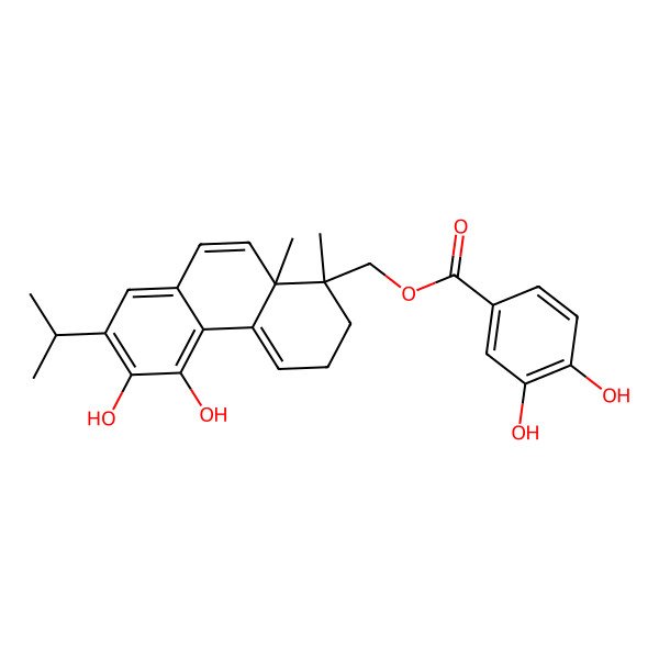 2D Structure of (5,6-Dihydroxy-1,10a-dimethyl-7-propan-2-yl-2,3-dihydrophenanthren-1-yl)methyl 3,4-dihydroxybenzoate