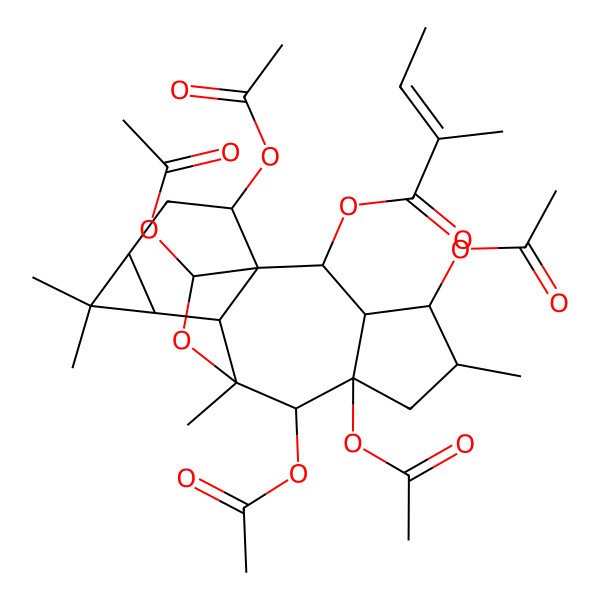 2D Structure of [(1R,2R,3R,4S,5S,7R,8R,9R,10R,11S,13S,15S,16R)-4,7,8,15,16-pentaacetyloxy-5,9,12,12-tetramethyl-17-oxapentacyclo[7.6.2.01,10.03,7.011,13]heptadecan-2-yl] (E)-2-methylbut-2-enoate