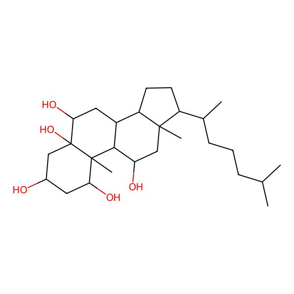 2D Structure of 10,13-Dimethyl-17-(6-methylheptan-2-yl)-1,2,3,4,6,7,8,9,11,12,14,15,16,17-tetradecahydrocyclopenta[a]phenanthrene-1,3,5,6,11-pentol