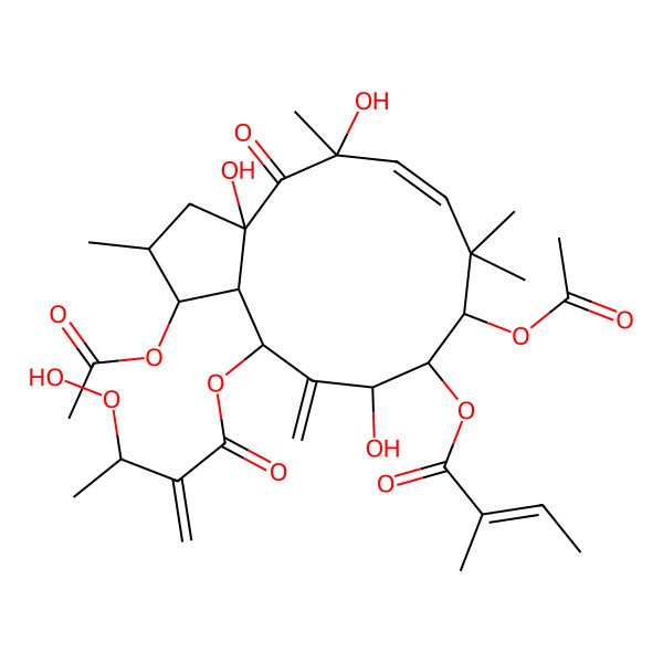 2D Structure of [(1S,2S,3aR,5R,6E,9S,10R,11S,13R,13aR)-1,9-diacetyloxy-3a,5,11-trihydroxy-2,5,8,8-tetramethyl-10-[(Z)-2-methylbut-2-enoyl]oxy-12-methylidene-4-oxo-1,2,3,9,10,11,13,13a-octahydrocyclopenta[12]annulen-13-yl] (3S)-3-hydroperoxy-2-methylidenebutanoate