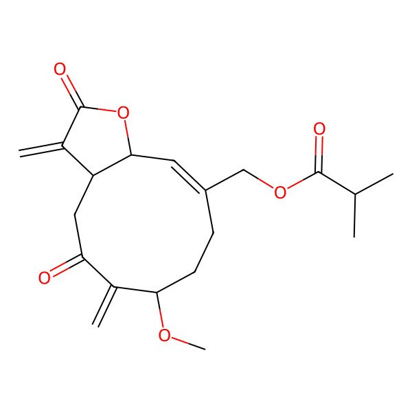 2D Structure of [(3aS,7R,10Z,11aR)-7-methoxy-3,6-dimethylidene-2,5-dioxo-3a,4,7,8,9,11a-hexahydrocyclodeca[b]furan-10-yl]methyl 2-methylpropanoate