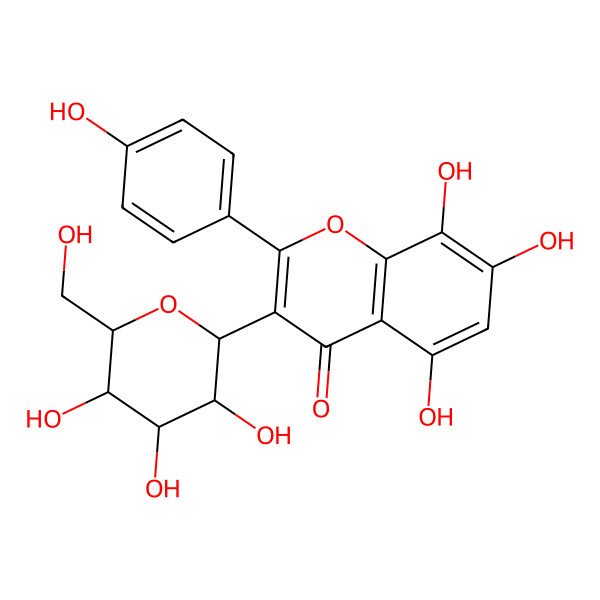 2D Structure of 5,7,8-Trihydroxy-2-(4-hydroxyphenyl)-3-[3,4,5-trihydroxy-6-(hydroxymethyl)oxan-2-yl]chromen-4-one