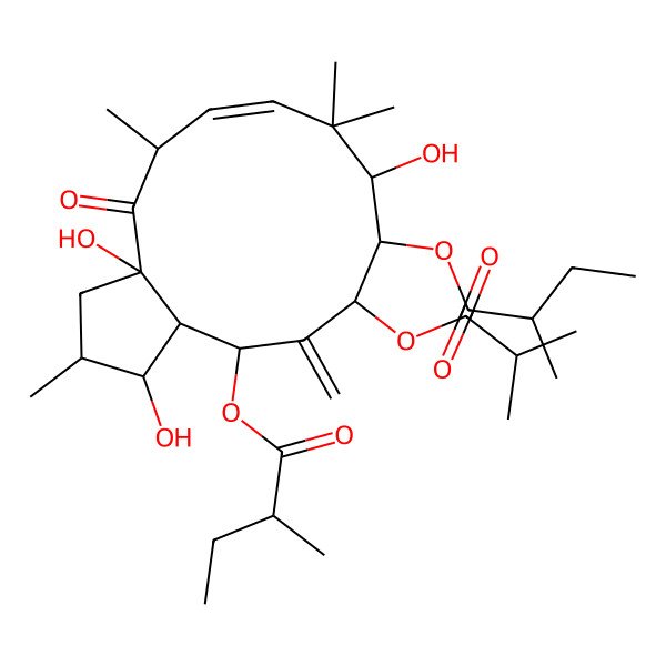 2D Structure of [(1S,2S,3aR,5S,6E,9S,10S,11S,13R,13aR)-1,3a,9-trihydroxy-2,5,8,8-tetramethyl-13-[(2R)-2-methylbutanoyl]oxy-12-methylidene-11-(2-methylpropanoyloxy)-4-oxo-2,3,5,9,10,11,13,13a-octahydro-1H-cyclopenta[12]annulen-10-yl] (2R)-2-methylbutanoate