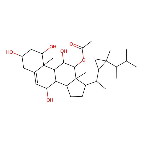 2D Structure of [1,3,7,11-tetrahydroxy-10,13-dimethyl-17-[1-[2-methyl-2-(3-methylbutan-2-yl)cyclopropyl]ethyl]-2,3,4,7,8,9,11,12,14,15,16,17-dodecahydro-1H-cyclopenta[a]phenanthren-12-yl] acetate