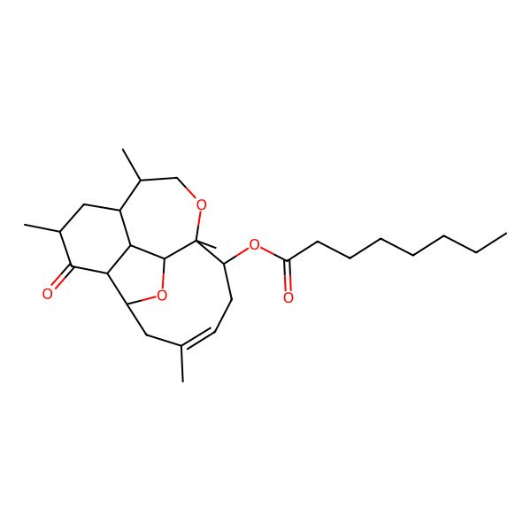 2D Structure of (5,8,11,15-Tetramethyl-4-oxo-10,18-dioxatetracyclo[9.7.0.02,7.03,17]octadec-14-en-12-yl) octanoate