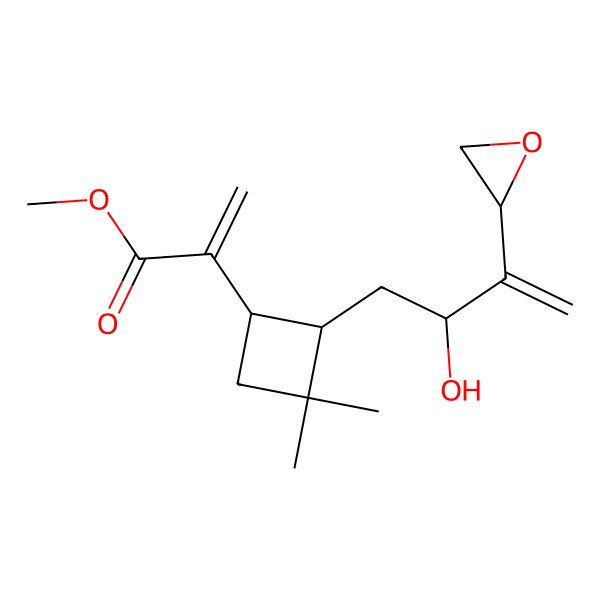 2D Structure of methyl 2-[(1S,2R)-2-[(2S)-2-hydroxy-3-[(2R)-oxiran-2-yl]but-3-enyl]-3,3-dimethylcyclobutyl]prop-2-enoate