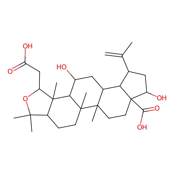 2D Structure of (1R,2R,5R,8R,9R,10S,11R,13R,14R,15R,17S,18S)-8-(carboxymethyl)-11,17-dihydroxy-1,2,6,6,9-pentamethyl-15-prop-1-en-2-yl-7-oxapentacyclo[11.7.0.02,10.05,9.014,18]icosane-18-carboxylic acid