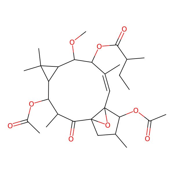 2D Structure of (4,13-Diacetyloxy-8-methoxy-3,6,6,10,14-pentamethyl-2-oxo-16-oxatetracyclo[10.3.1.01,12.05,7]hexadec-10-en-9-yl) 2-methylbutanoate