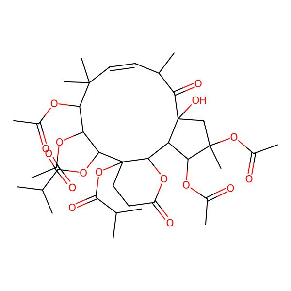 2D Structure of [3,4,12,13-Tetraacetyloxy-6-hydroxy-4,8,11,11-tetramethyl-15-(2-methylpropanoyloxy)-7,18-dioxo-19-oxatricyclo[13.4.0.02,6]nonadec-9-en-14-yl] 2-methylpropanoate