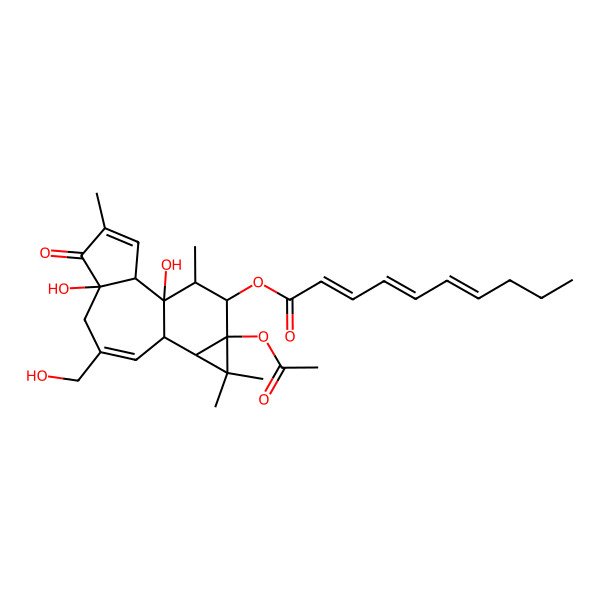 2D Structure of 2,4,6-Decatrienoic acid, 9a-(acetyloxy)-1a,1b,4,4a,5,7a,7b,8,9,9a-decahydro-4a,7b-dihydroxy-3-(hydroxymethyl)-1,1,6,8-tetramethyl-5-oxo-1H-cyclopropa(3,4)benz(1,2-e)azulen-9-yl ester, (1aR-(1aalpha,1bbeta,4abeta,7aalpha,7balpha,8alpha,9beta,9aalpha))-