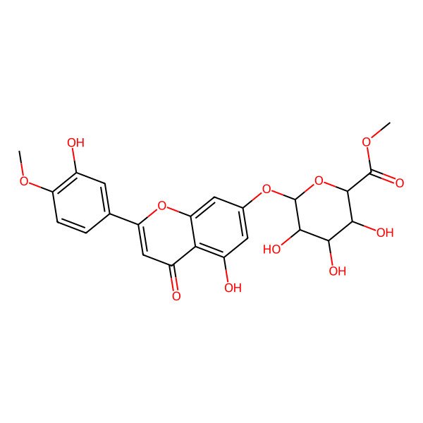 2D Structure of Methyl 3,4,5-trihydroxy-6-[5-hydroxy-2-(3-hydroxy-4-methoxyphenyl)-4-oxochromen-7-yl]oxyoxane-2-carboxylate