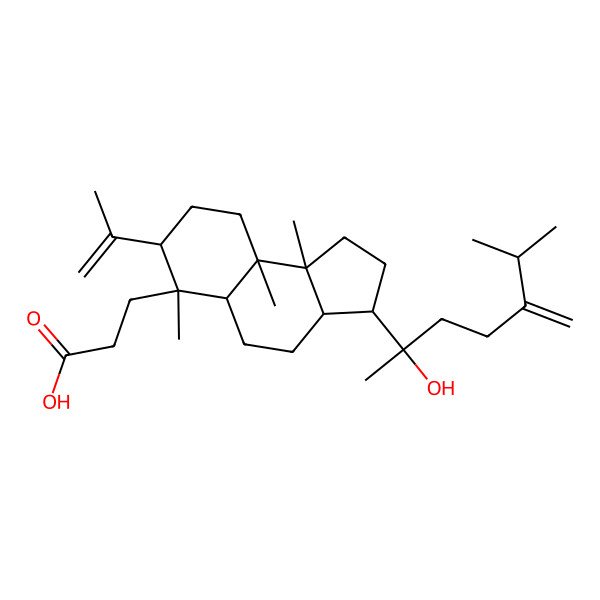 2D Structure of 3-[(3S,3aR,5aS,6S,7S,9aR,9bR)-3-[(2S)-2-hydroxy-6-methyl-5-methylideneheptan-2-yl]-6,9a,9b-trimethyl-7-prop-1-en-2-yl-1,2,3,3a,4,5,5a,7,8,9-decahydrocyclopenta[a]naphthalen-6-yl]propanoic acid