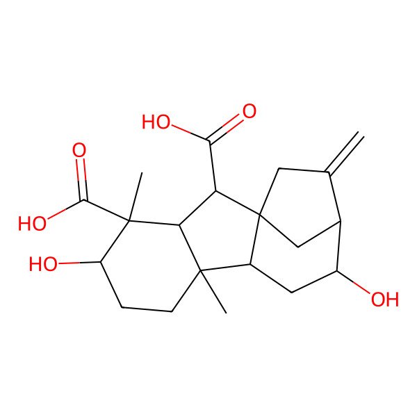 2D Structure of (1R,2S,3S,4S,5S,8S,9S,11R,12R)-5,11-dihydroxy-4,8-dimethyl-13-methylidenetetracyclo[10.2.1.01,9.03,8]pentadecane-2,4-dicarboxylic acid