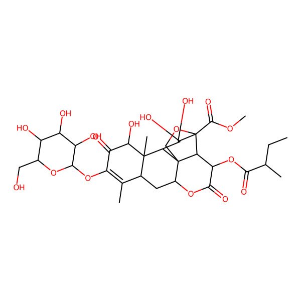2D Structure of methyl (1R,2S,3R,6R,8R,12S,13S,14R,15R,16S,17S)-12,15,16-trihydroxy-9,13-dimethyl-3-[(2S)-2-methylbutanoyl]oxy-4,11-dioxo-10-[(2S,3R,4S,5S,6R)-3,4,5-trihydroxy-6-(hydroxymethyl)oxan-2-yl]oxy-5,18-dioxapentacyclo[12.5.0.01,6.02,17.08,13]nonadec-9-ene-17-carboxylate