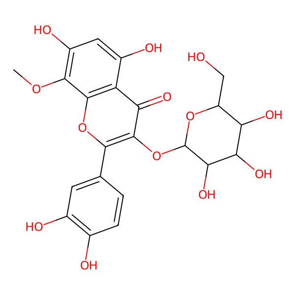2D Structure of 2-(3,4-dihydroxyphenyl)-5,7-dihydroxy-8-methoxy-3-[(2S,3R,4S,5R,6R)-3,4,5-trihydroxy-6-(hydroxymethyl)oxan-2-yl]oxychromen-4-one
