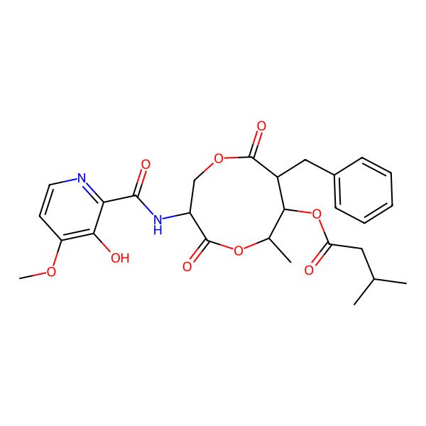 2D Structure of [8-Benzyl-3-[(3-hydroxy-4-methoxypyridine-2-carbonyl)amino]-6-methyl-4,9-dioxo-1,5-dioxonan-7-yl] 3-methylbutanoate