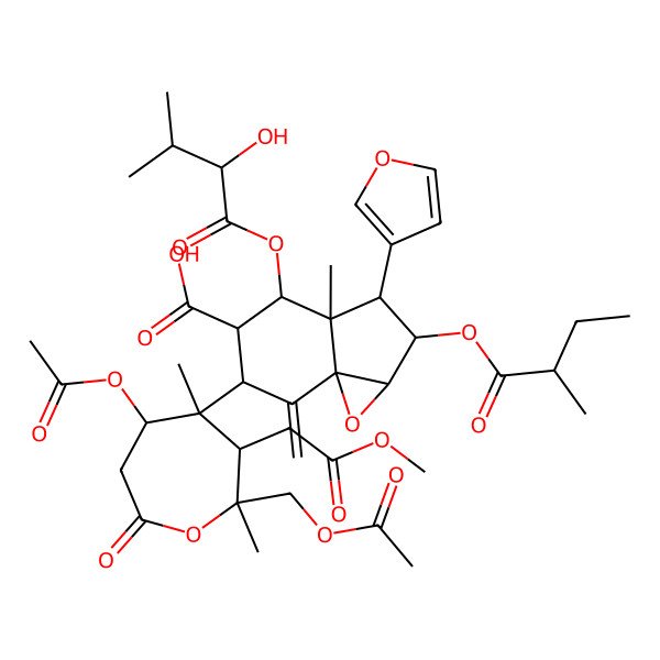 2D Structure of (1aR,3S,3aR,4S,5R,6R,7aS)-6-[(2R,3R,4R,5S)-5-acetyloxy-2-(acetyloxymethyl)-3-(2-methoxy-2-oxoethyl)-2,4-dimethyl-7-oxooxepan-4-yl]-3-(furan-3-yl)-4-(2-hydroxy-3-methylbutanoyl)oxy-3a-methyl-2-(2-methylbutanoyloxy)-7-methylidene-1a,2,3,4,5,6-hexahydroindeno[1,7a-b]oxirene-5-carboxylic acid