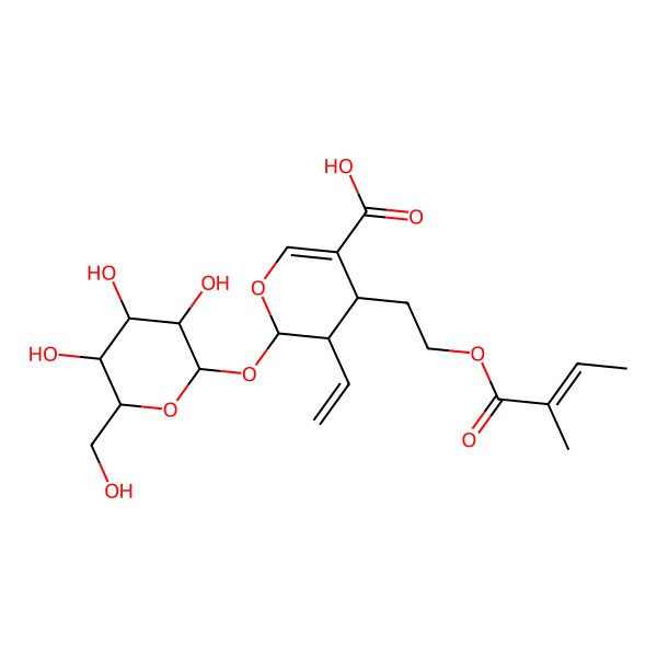 2D Structure of (2S,3R,4S)-3-ethenyl-4-[2-[(E)-2-methylbut-2-enoyl]oxyethyl]-2-[(2S,3R,4S,5S,6R)-3,4,5-trihydroxy-6-(hydroxymethyl)oxan-2-yl]oxy-3,4-dihydro-2H-pyran-5-carboxylic acid