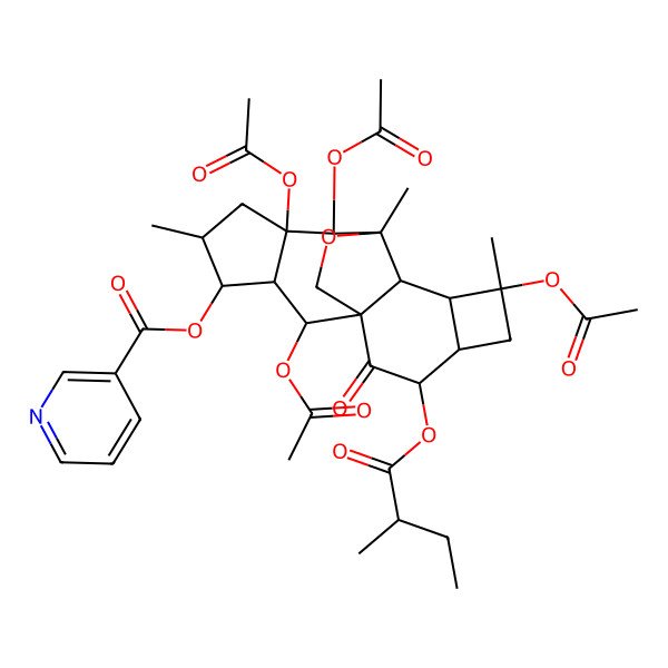 2D Structure of [2,7,8,12-Tetraacetyloxy-5,9,12-trimethyl-15-(2-methylbutanoyloxy)-16-oxo-18-oxapentacyclo[7.7.2.01,10.03,7.011,14]octadecan-4-yl] pyridine-3-carboxylate