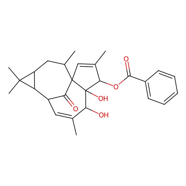 2D Structure of (5,6-Dihydroxy-3,7,11,11,14-pentamethyl-15-oxo-4-tetracyclo[7.5.1.01,5.010,12]pentadeca-2,7-dienyl) benzoate
