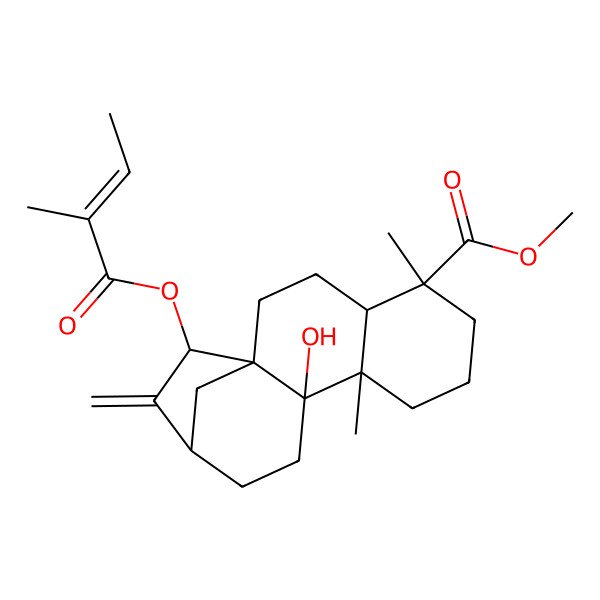 2D Structure of methyl (1S,4S,5R,9R,10R,13R,15S)-10-hydroxy-5,9-dimethyl-15-[(Z)-2-methylbut-2-enoyl]oxy-14-methylidenetetracyclo[11.2.1.01,10.04,9]hexadecane-5-carboxylate