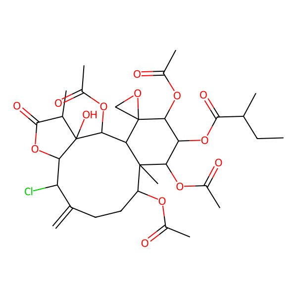 2D Structure of [(1S,2R,3S,4S,7S,8S,12R,13S,14S,15R,16S,17S)-2,12,14,16-tetraacetyloxy-8-chloro-3-hydroxy-4,13-dimethyl-9-methylidene-5-oxospiro[6-oxatricyclo[11.4.0.03,7]heptadecane-17,2'-oxirane]-15-yl] (2S)-2-methylbutanoate
