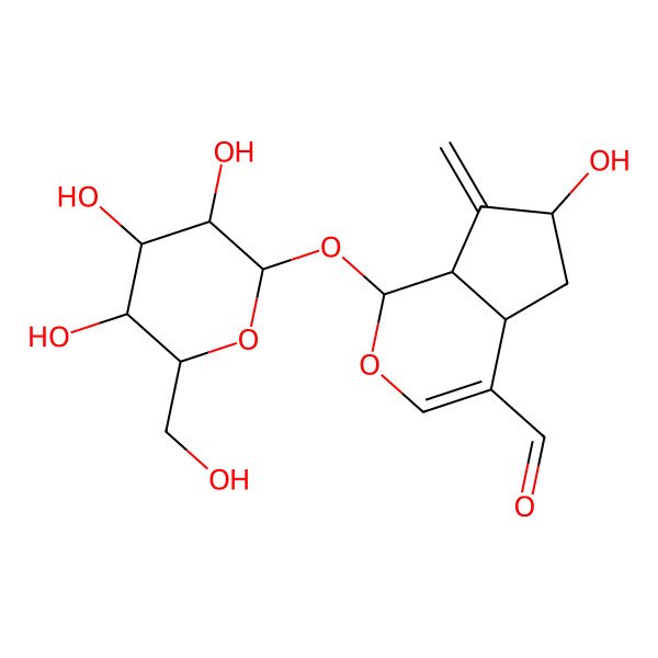 2D Structure of 6-hydroxy-7-methylidene-1-[3,4,5-trihydroxy-6-(hydroxymethyl)oxan-2-yl]oxy-4a,5,6,7a-tetrahydro-1H-cyclopenta[c]pyran-4-carbaldehyde