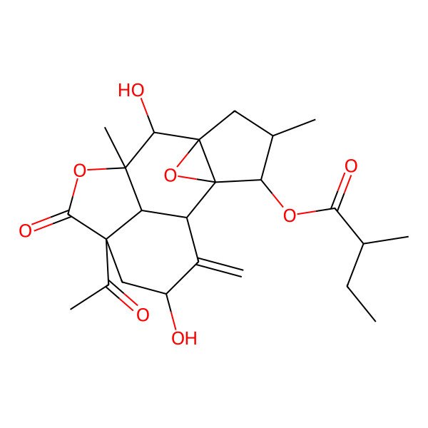2D Structure of [(1S,2S,3R,4R,6S,7S,8R,11R,13S,15S)-11-acetyl-7,13-dihydroxy-4,8-dimethyl-14-methylidene-10-oxo-9,16-dioxapentacyclo[6.6.1.12,6.02,6.011,15]hexadecan-3-yl] (2S)-2-methylbutanoate