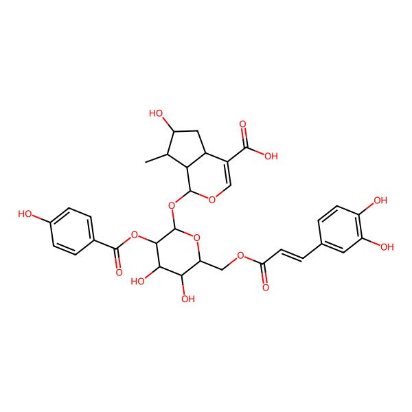 2D Structure of (1S,4aS,6S,7S,7aS)-1-[(2S,3R,4S,5S,6R)-6-[[(E)-3-(3,4-dihydroxyphenyl)prop-2-enoyl]oxymethyl]-4,5-dihydroxy-3-(4-hydroxybenzoyl)oxyoxan-2-yl]oxy-6-hydroxy-7-methyl-1,4a,5,6,7,7a-hexahydrocyclopenta[c]pyran-4-carboxylic acid