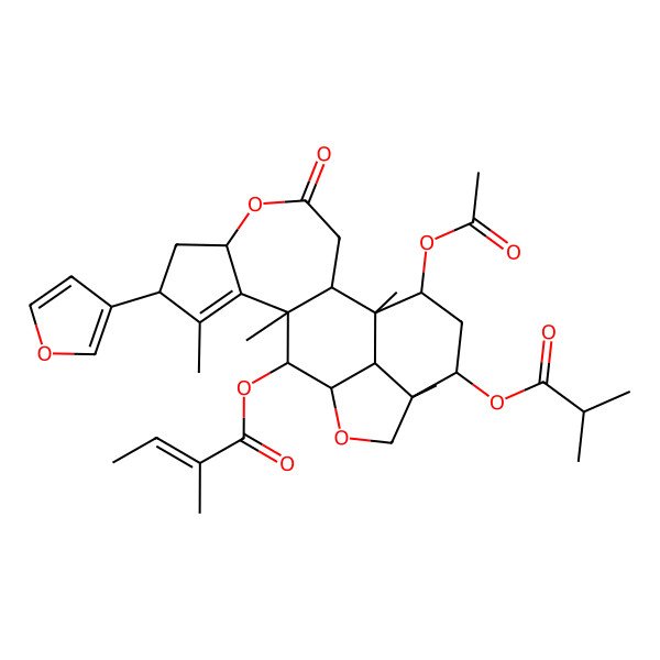 2D Structure of [(1R,2R,6S,8R,11R,12S,13R,16R,17R,19S,20R)-19-acetyloxy-8-(furan-3-yl)-1,9,11,16-tetramethyl-17-(2-methylpropanoyloxy)-4-oxo-5,14-dioxapentacyclo[11.6.1.02,11.06,10.016,20]icos-9-en-12-yl] (E)-2-methylbut-2-enoate