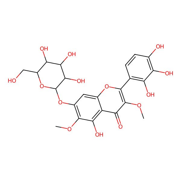 2D Structure of 5-hydroxy-3,6-dimethoxy-7-[(2S,3R,4S,5S,6R)-3,4,5-trihydroxy-6-(hydroxymethyl)oxan-2-yl]oxy-2-(2,3,4-trihydroxyphenyl)chromen-4-one