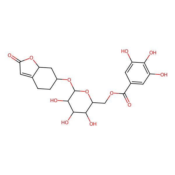 2D Structure of [(2R,3S,4S,5R,6R)-6-[[(6S,7aS)-2-oxo-5,6,7,7a-tetrahydro-4H-1-benzofuran-6-yl]oxy]-3,4,5-trihydroxyoxan-2-yl]methyl 3,4,5-trihydroxybenzoate
