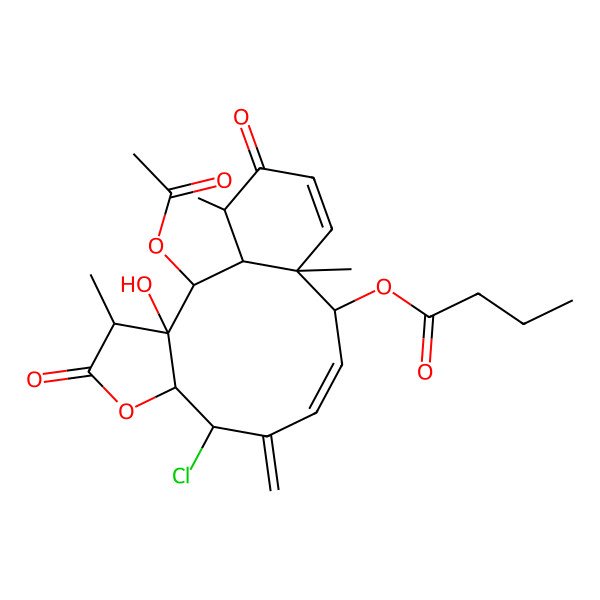 2D Structure of [(1S,2S,3R,4R,7R,8S,10Z,12S,13S,17R)-2-acetyloxy-8-chloro-3-hydroxy-4,13,17-trimethyl-9-methylidene-5,16-dioxo-6-oxatricyclo[11.4.0.03,7]heptadeca-10,14-dien-12-yl] butanoate