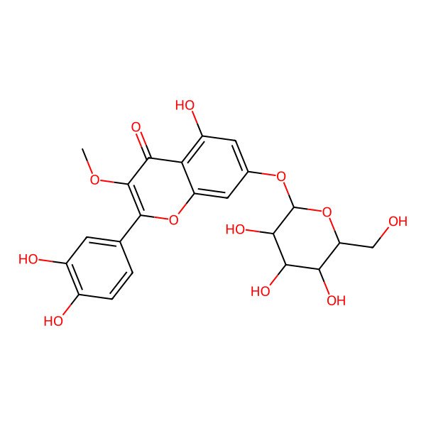 2D Structure of 2-(3,4-dihydroxyphenyl)-5-hydroxy-3-methoxy-7-[(2R,3S,4R,5R,6S)-3,4,5-trihydroxy-6-(hydroxymethyl)oxan-2-yl]oxychromen-4-one
