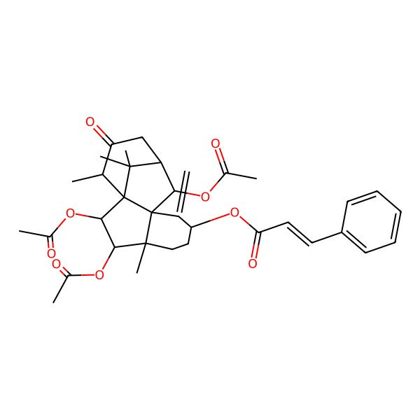 2D Structure of [(2R,3R,4R,7S,10R,11R,14S)-2,3,10-triacetyloxy-4,14,15,15-tetramethyl-8-methylidene-13-oxo-7-tetracyclo[9.3.1.01,9.04,9]pentadecanyl] (E)-3-phenylprop-2-enoate