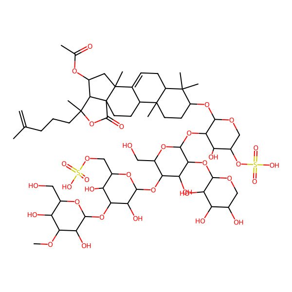 2D Structure of [(2S,4S,6S,12R,13R,18R)-16-[(2S,3R,4R,5R)-3-[(2S,3R,4S,5S,6R)-5-[(2S,3R,4S,5R,6R)-4-[(2S,3R,4S,5R,6R)-3,5-dihydroxy-6-(hydroxymethyl)-4-methoxyoxan-2-yl]oxy-3,5-dihydroxy-6-(sulfooxymethyl)oxan-2-yl]oxy-4-hydroxy-6-(hydroxymethyl)-3-[(2S,3R,4S,5R)-3,4,5-trihydroxyoxan-2-yl]oxyoxan-2-yl]oxy-4-hydroxy-5-sulfooxyoxan-2-yl]oxy-2,6,13,17,17-pentamethyl-6-(4-methylpent-4-enyl)-8-oxo-7-oxapentacyclo[10.8.0.02,9.05,9.013,18]icos-1(20)-en-4-yl] acetate