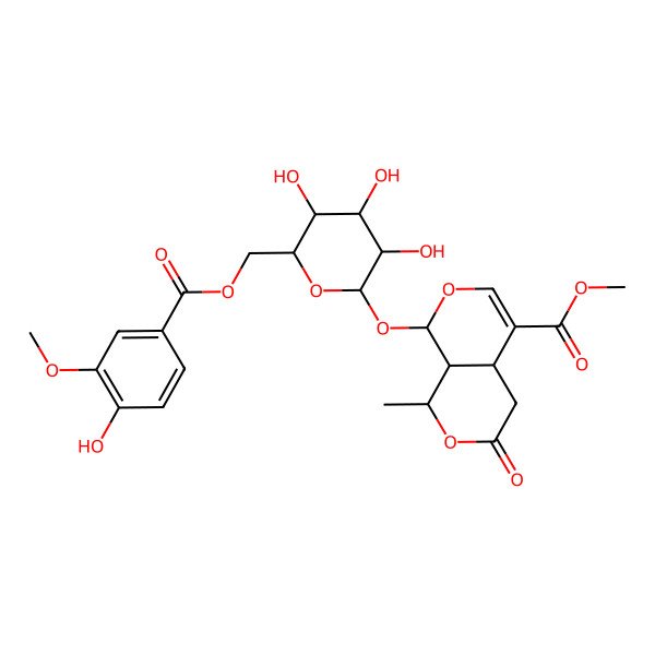 2D Structure of methyl 1-methyl-3-oxo-8-[3,4,5-trihydroxy-6-[(4-hydroxy-3-methoxybenzoyl)oxymethyl]oxan-2-yl]oxy-4,4a,8,8a-tetrahydro-1H-pyrano[3,4-c]pyran-5-carboxylate